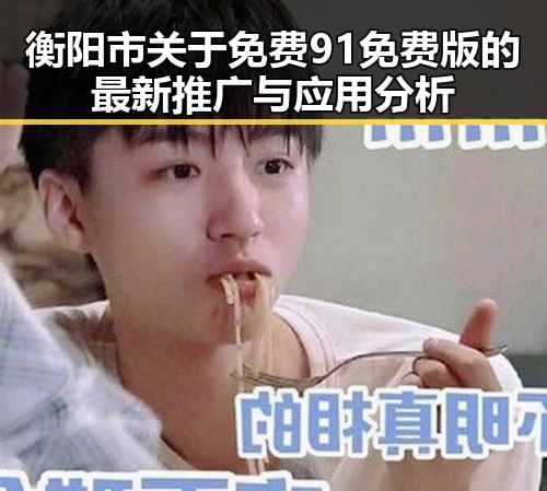 衡阳市关于免费91免费版的最新推广与应用分析
