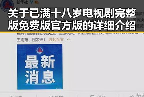 关于已满十八岁电视剧完整版免费版官方版的详细介绍