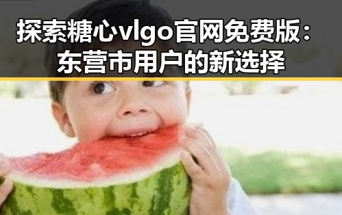 探索糖心vlgo官网免费版：东营市用户的新选择