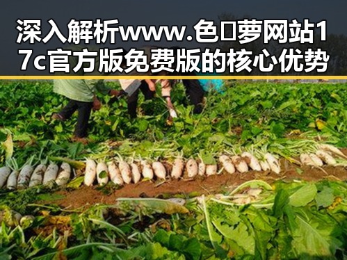 深入解析www.色😍萝网站17c官方版免费版的核心优势