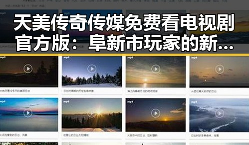 天美传奇传媒免费看电视剧官方版：阜新市玩家的新选择