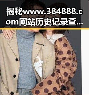 揭秘www.384888.com网站历史记录查询：了解你的网络足迹