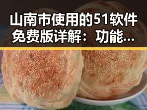 山南市使用的51软件免费版详解：功能与应用介绍