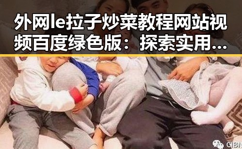 外网le拉子炒菜教程网站视频百度绿色版：探索实用的资源与教程