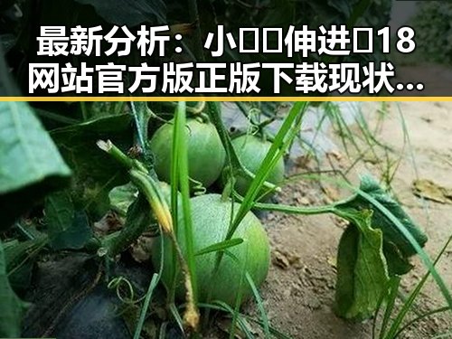 最新分析：小🐔🐔伸进🈲18网站官方版正版下载现状与趋势