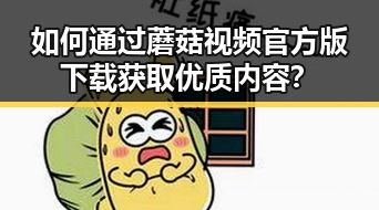 如何通过蘑菇视频官方版下载获取优质内容？