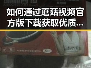 如何通过蘑菇视频官方版下载获取优质内容？