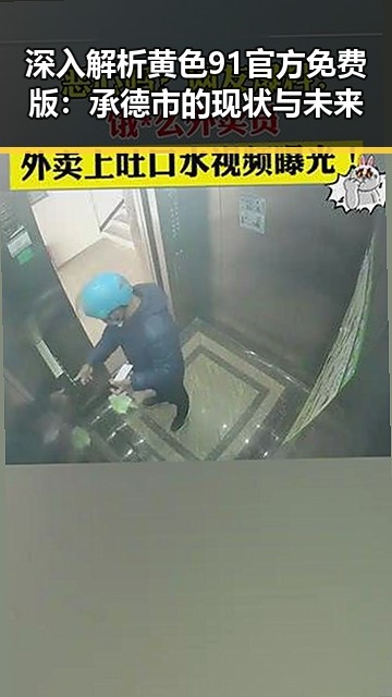 深入解析黄色91官方免费版：承德市的现状与未来