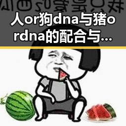 人or狗dna与猪ordna的配合与防治官方版下载：探索动物基因的奥秘