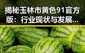 揭秘玉林市黄色91官方版:行业现状与发展前景