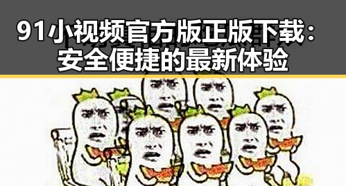 91小视频官方版正版下载：安全便捷的最新体验
