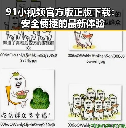 91小视频官方版正版下载：安全便捷的最新体验