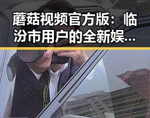 蘑菇视频官方版:临汾市用户的全新娱乐体验