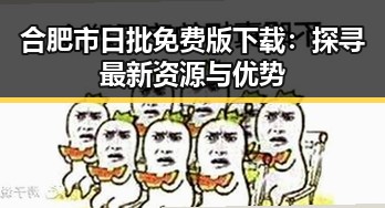 合肥市日批免费版下载：探寻最新资源与优势
