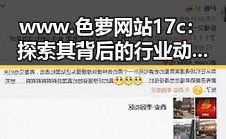 www.色 萝网站17c：探索其背后的行业动态与影响力