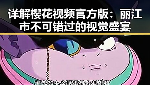 详解樱花视频官方版：丽江市不可错过的视觉盛宴
