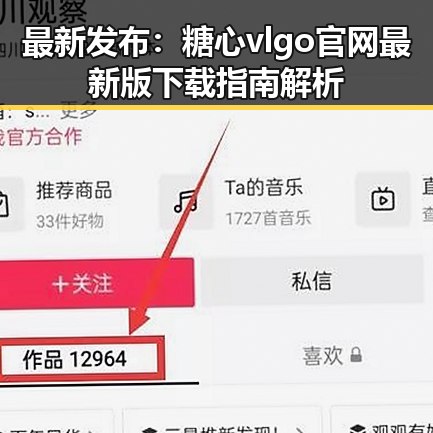 最新发布:糖心vlgo官网最新版下载指南解析
