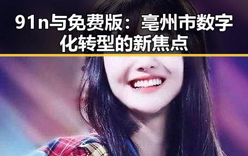 91n与免费版:亳州市数字化转型的新焦点