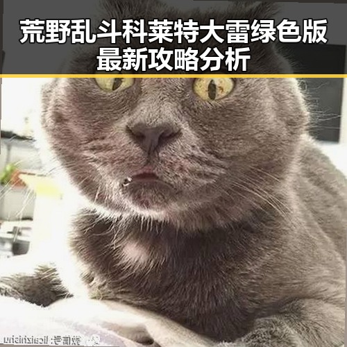荒野乱斗科莱特大雷绿色版最新攻略分析