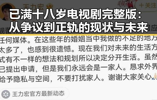 已满十八岁电视剧完整版：从争议到正轨的现状与未来