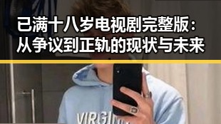 已满十八岁电视剧完整版：从争议到正轨的现状与未来