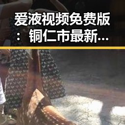 爱液视频免费版：铜仁市最新攻略与观影体验
