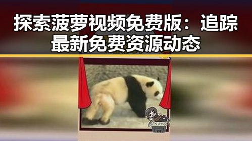 探索菠萝视频免费版：追踪最新免费资源动态