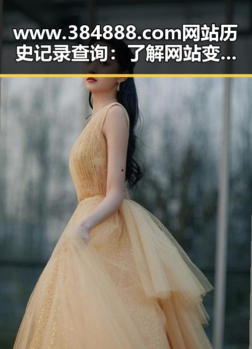 www.384888.com网站历史记录查询：了解网站变迁的关键工具