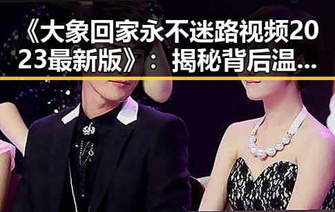 《大象回家永不迷路视频2023最新版》：揭秘背后温暖的故事